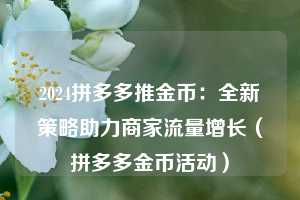 2024拼多多推金币：全新策略助力商家流量增长（拼多多金币活动）  第1张