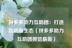 拼多多助力互助团：打造互助新生态（拼多多助力互助团微信最新）  第1张