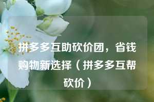 拼多多互助砍价团，省钱购物新选择（拼多多互帮砍价）  第1张