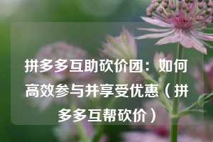 拼多多互助砍价团：如何高效参与并享受优惠（拼多多互帮砍价）  第1张