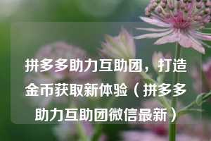 拼多多助力互助团，打造金币获取新体验（拼多多助力互助团微信最新）  第1张