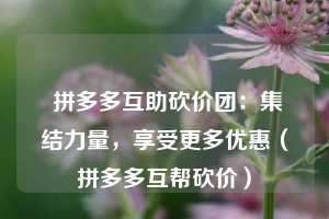  拼多多互助砍价团：集结力量，享受更多优惠（拼多多互帮砍价） 第1张