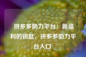  拼多多助力平台：新福利的钥匙，拼多多助力平台入口 第1张