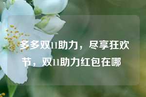  多多双11助力，尽享狂欢节，双11助力红包在哪 第1张