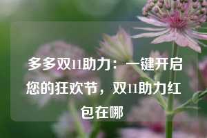  多多双11助力：一键开启您的狂欢节，双11助力红包在哪 第1张