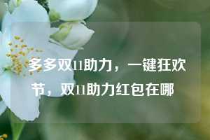  多多双11助力，一键狂欢节，双11助力红包在哪 第1张