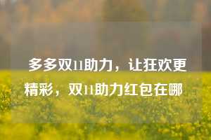  多多双11助力，让狂欢更精彩，双11助力红包在哪 第1张