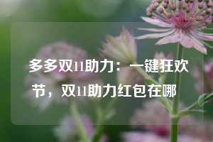  多多双11助力：一键狂欢节，双11助力红包在哪 第1张