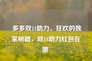  多多双11助力，狂欢的独家秘籍，双11助力红包在哪 第1张