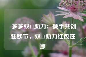  多多双11助力：携手共创狂欢节，双11助力红包在哪 第1张