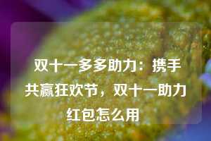  双十一多多助力：携手共赢狂欢节，双十一助力红包怎么用 第1张