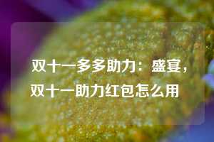  双十一多多助力：盛宴，双十一助力红包怎么用 第1张