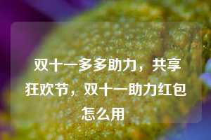  双十一多多助力，共享狂欢节，双十一助力红包怎么用 第1张