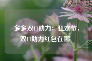  多多双11助力：狂欢节，双11助力红包在哪 第1张