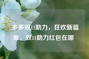  多多双11助力，狂欢新篇章，双11助力红包在哪 第1张