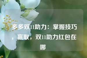  多多双11助力：掌握技巧，赢取，双11助力红包在哪 第1张