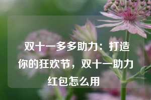  双十一多多助力：打造你的狂欢节，双十一助力红包怎么用 第1张