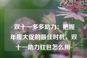  双十一多多助力：把握年度大促的最佳时机，双十一助力红包怎么用 第1张