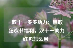  双十一多多助力：赢取狂欢节福利，双十一助力红包怎么用 第1张