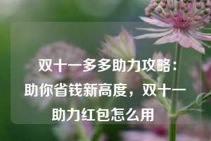  双十一多多助力攻略：助你省钱新高度，双十一助力红包怎么用 第1张