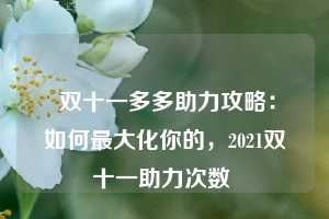  双十一多多助力攻略：如何最大化你的，2021双十一助力次数 第1张