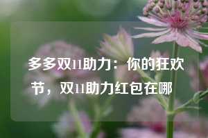  多多双11助力：你的狂欢节，双11助力红包在哪 第1张