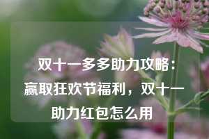  双十一多多助力攻略：赢取狂欢节福利，双十一助力红包怎么用 第1张