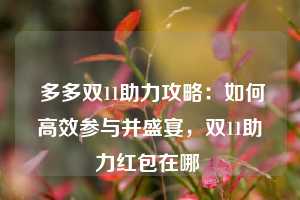  多多双11助力攻略：如何高效参与并盛宴，双11助力红包在哪 第1张