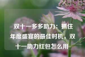  双十一多多助力：抓住年度盛宴的最佳时机，双十一助力红包怎么用 第1张