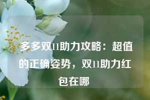  多多双11助力攻略：超值的正确姿势，双11助力红包在哪 第1张