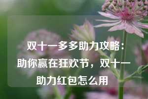  双十一多多助力攻略：助你赢在狂欢节，双十一助力红包怎么用 第1张