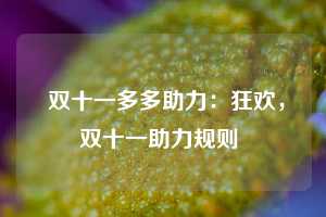  双十一多多助力：狂欢，双十一助力规则 第1张