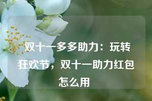  双十一多多助力：玩转狂欢节，双十一助力红包怎么用 第1张