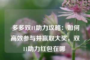  多多双11助力攻略：如何高效参与并赢取大奖，双11助力红包在哪 第1张