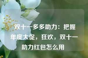  双十一多多助力：把握年度大促，狂欢，双十一助力红包怎么用 第1张