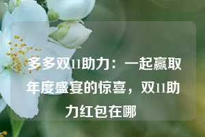  多多双11助力：一起赢取年度盛宴的惊喜，双11助力红包在哪 第1张